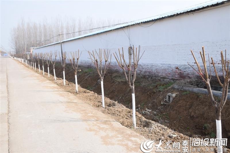 九台招聘:抓住机遇,成就你的职场未来
