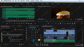 2018dvd在线视频,重温经典，探索光影魅力