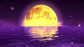 月色湾ysw在线视频