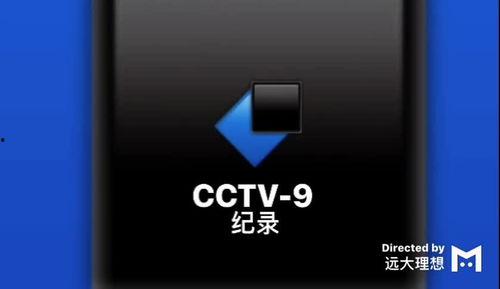 9ctv在线视频,精彩瞬间回顾