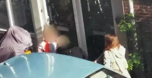 荷兰另类在线视频观看,探索多元文化的新窗口