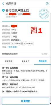 平安在线视频报案,一键守护您的安全防线