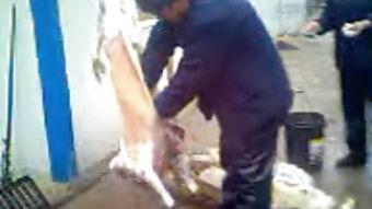 sm束缚在线视频,揭秘激情与禁忌的在线视频世界