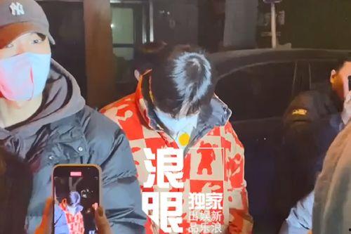 富婆嫖鸭在线视频播放,一场奢华与欲望的交织