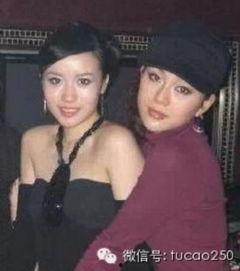 富婆嫖鸭在线视频播放,一场奢华与欲望的交织