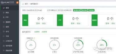 速度韩国在线视频,速度与激情的视觉盛宴