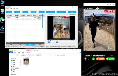 小风琴在线视频下载,轻松掌握小风琴在线视频下载技巧