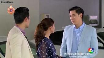 孽爱网在线视频